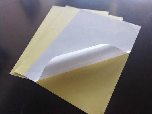 Rollo di carta adesiva lucida e autoadesiva resistente all'umidità per lo shopping commerciale