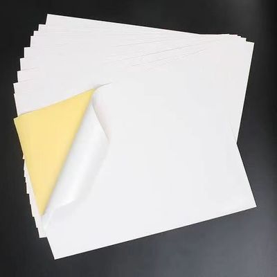 Carta adesiva acrilica adesiva matta per la stampa