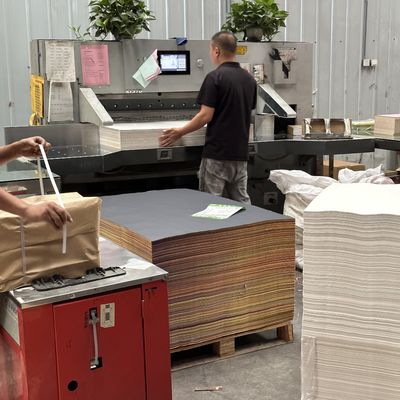 Carta di stampa offset senza legno a colori con materiale di rivestimento PE Ordine personalizzato accettato