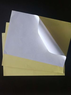 Carta adesiva per adesivi a metallo caldo non rivestita per rivestimento in PE e facile applicazione