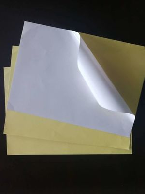 Etichetta di trasferimento termico di laminazione lucida Jumbo Roll per adesivo di carta autoadesivo personalizzato