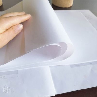 45% di lucentezza superficiale A4 Jumbo Paper Roll Personalizzabile con ordine personalizzato accettabile