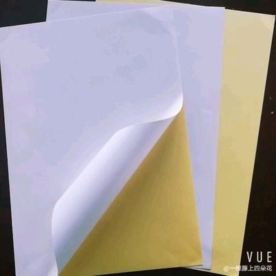 Etichetta di trasferimento termico di laminazione lucida Jumbo Roll per adesivo di carta autoadesivo personalizzato