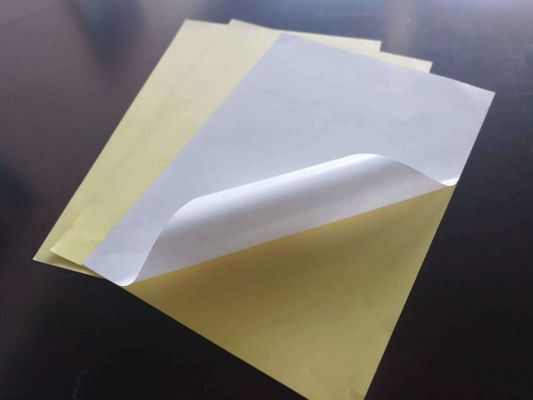 Carta adesiva ad fusione calda per l'etichettatura e l'etichettatura dei prodotti