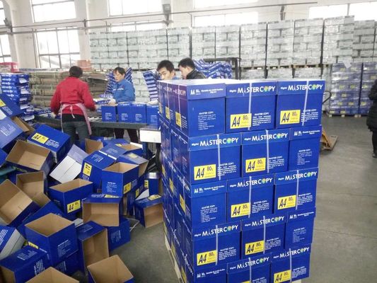 Carta A4 più venduta 75 80 GSM Jumbo Roll con 45% di lucentezza superficiale e 88% di lucentezza di stampa