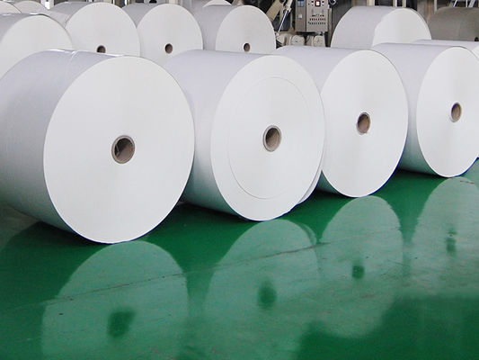 Ordine su misura Carta di stampa offset senza legno di colore cremoso non rivestito 55 ggsm 60 ggsm 70 ggsm 80 ggsm