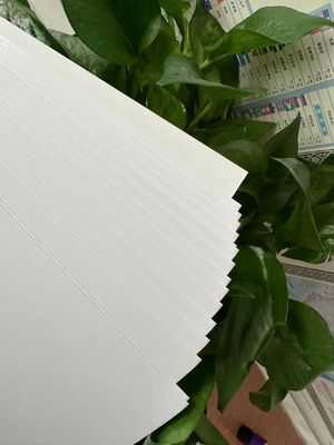 Carta di stampa Hotselling su misura 210/230/250/270/300gsm FBB/GC1/C1S di standard