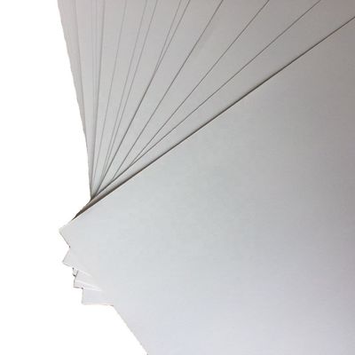 S Top Choice C2S Matte Art Card Paper Roll rivestito su entrambi i lati per una finitura superiore