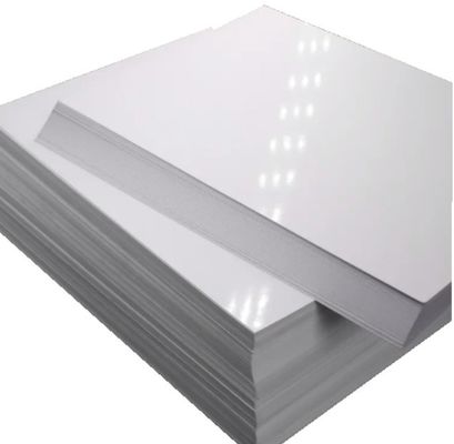 Carta cartacea in rotolo con rivestimento in PE C2S Matte Art per applicazioni di stampa e imballaggio