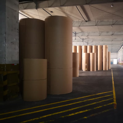 Ordine personalizzato 70/75/80gm Copia carta Jumbo Roll 850mm Dimensione bobina con 103±1 luminosità