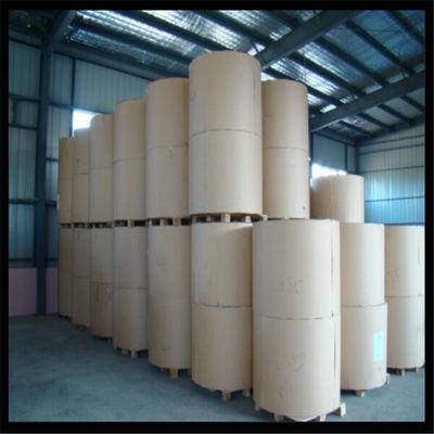 Carta di copia anti-curl Jumbo Roll per il taglio A4