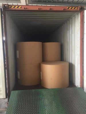 Carta di copia anti-curl Jumbo Roll per il taglio A4