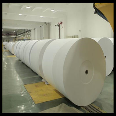 Carta di copia anti-curl Jumbo Roll per il taglio A4