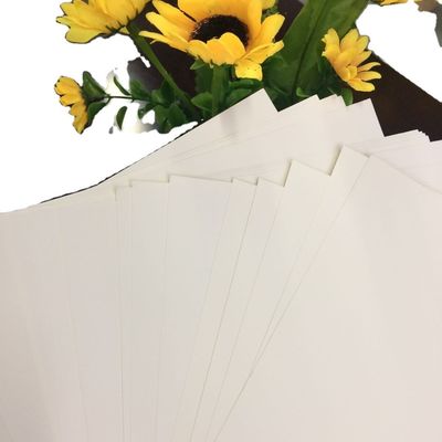 Cartone pieghevole personalizzabile per cellule chimico-meccaniche con e stile virgin pulp