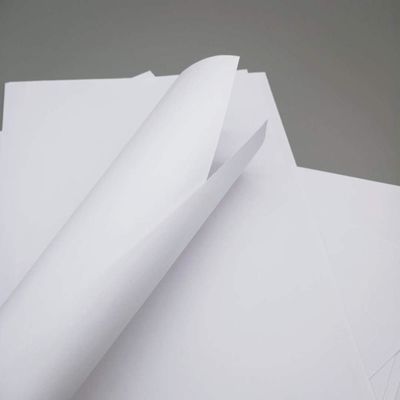 Carta da 70 a 80 grammi per la stampa industriale Jumbo Roll per il taglio A4