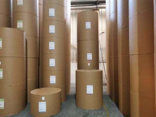 Stampa offset Compatibile Ningbo Fold Paper Board C1S Rivestito 190-400gsm FBB Ivory Board