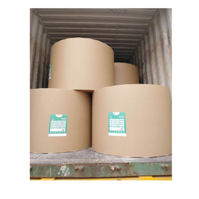 Stampa offset Compatibile Ningbo Fold Paper Board C1S Rivestito 190-400gsm FBB Ivory Board