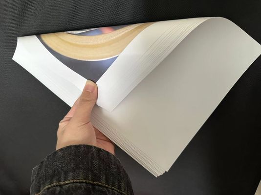Carta rivestita a caldo con finitura di superficie per carta d'arte ad alto splendore 90gm-300gm