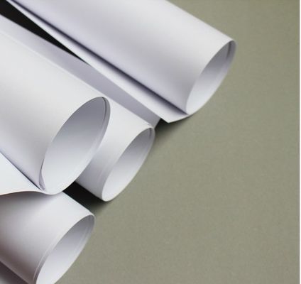 80 grammi di carta da copia Jumbo Roll per la stampa su ordinazione