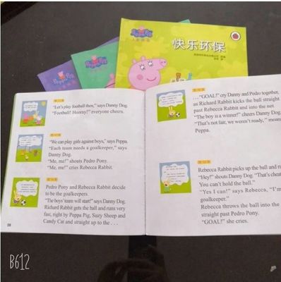 Carta d'arte rivestita in PE C2s 80gm 90gm 100gm 150gm 170gm 300gm per progetti di stampa