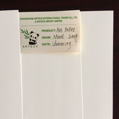 Accetta ordini personalizzati per la pasta di legno divano bianco Jumbo Roll materie prime di carta C2s