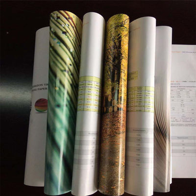 Stampa offset carta bianca C2S ricoperta a doppio lato per brochure