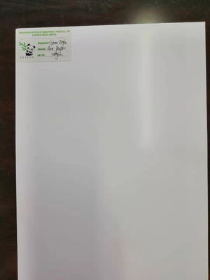 Carta Bond 80gm-250gm Carta d'arte Matta in confezione con rivestimento a doppio lato