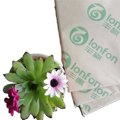 55G-120G Carta a legame per la stampa in offest all'interno dell'anti-curl da LONFON/chenming/APP