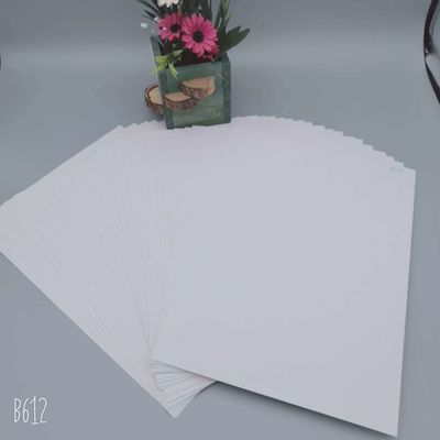 Zenith High Bulk C1S Coated Ningbo Fold FBB Ivory Board Ideale per carta da regalo