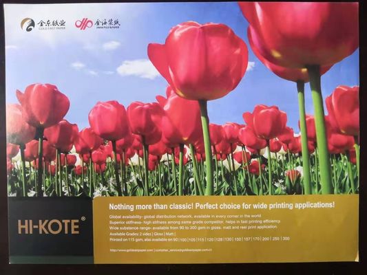 65-133 grammi di carta bond Hi-Kote C2S Gloss/Art Coated Paper di APP