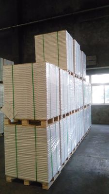 110*68*12mm Ordine su misura Poplar C1S Carta avorio rivestita/ FBB/ Bristol Paper Roll