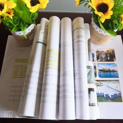 Carta d'arte rivestita a doppio lato da 80 a 250 g/m2 in confezione a sfera/rollo