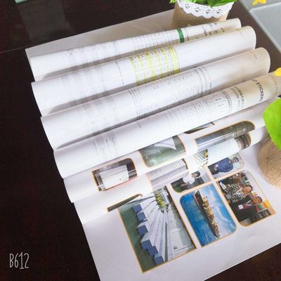 Carta d'arte rivestita a doppio lato da 80 a 250 g/m2 in confezione a sfera/rollo