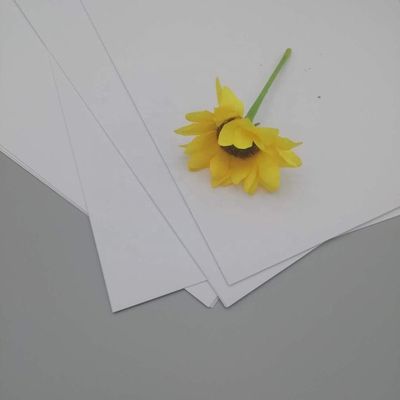 Requisiti della dogana e carta d'arte NEVIA anti-curl per la stampa