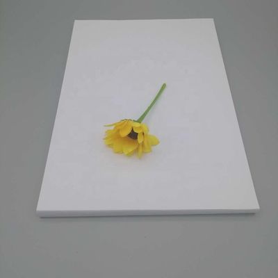 Requisiti della dogana e carta d'arte NEVIA anti-curl per la stampa