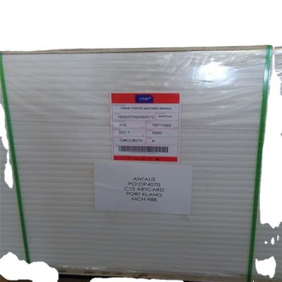 Impressione offset Carta di legame compatibile per le esigenze di stampa di FBB/Ivory Board/Duplex Board