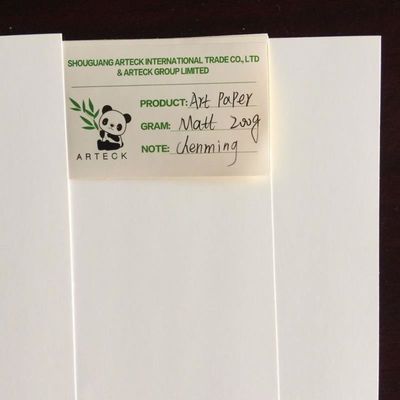 Stampa offset Compatibile 80/90gsm C2S Art Paper Gloss per la stampa di riviste