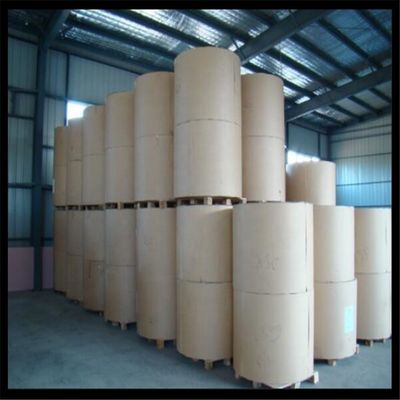 110 x 57 x 15 mm C1S Carta d'avorio in ream 100% pasta di legno vergine per imballaggi in cartone