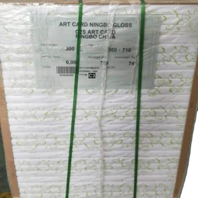 La carta d' avorio FBB di Ningbo Fold accetta ordini personalizzati ed è personalizzabile